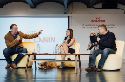 Royal Canin    public talk:    :      