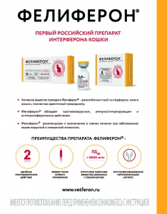 Фелиферон® - первый российский препарат интерферона кошки
